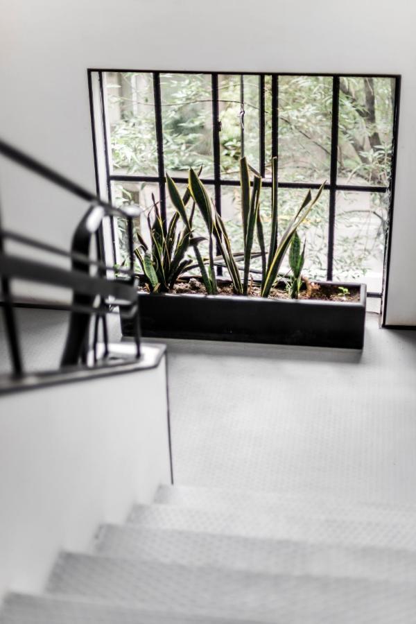 Itto Condesa Mexico City
